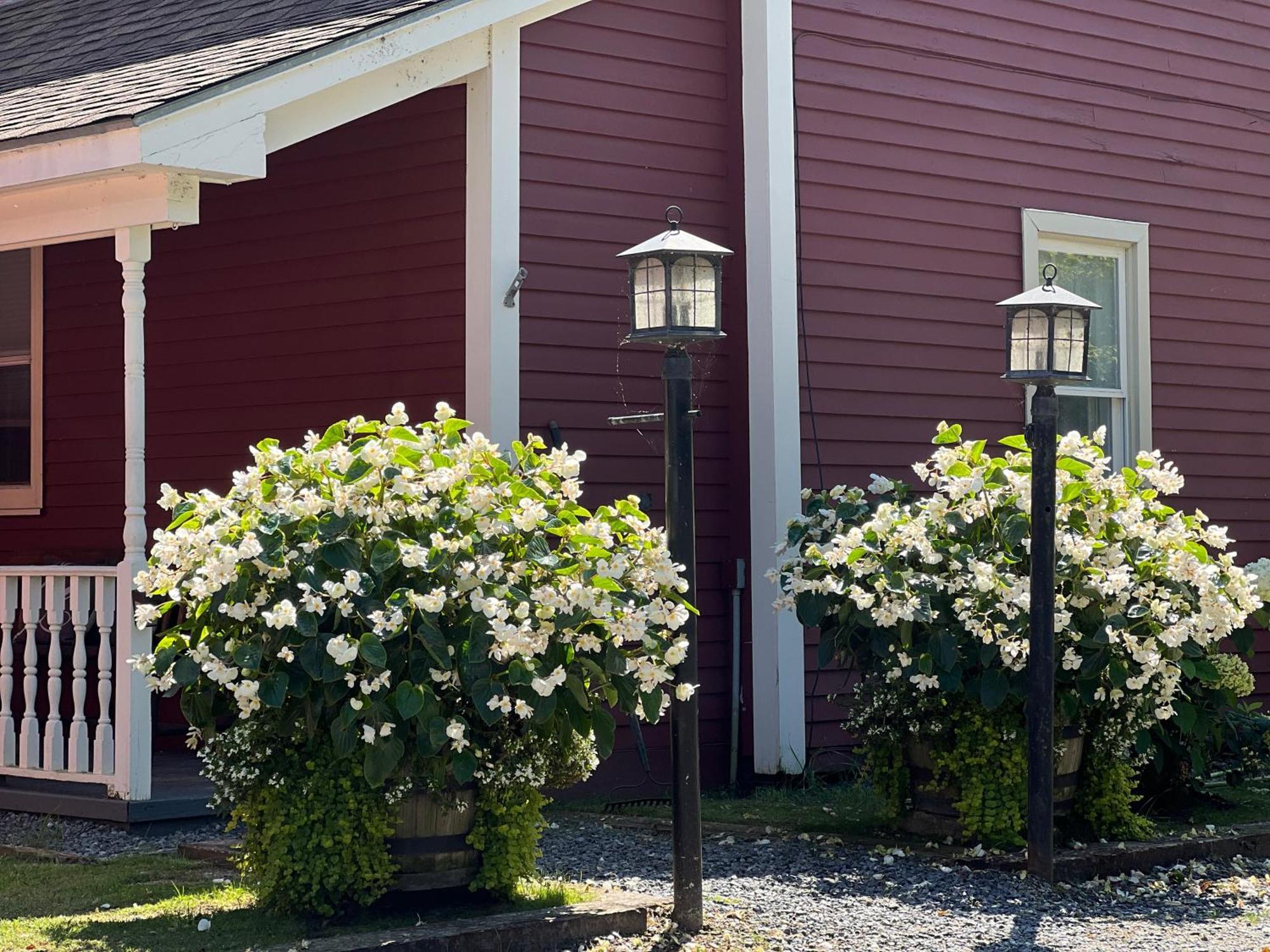 The Nutmeg Vermont Wilmington Extérieur photo