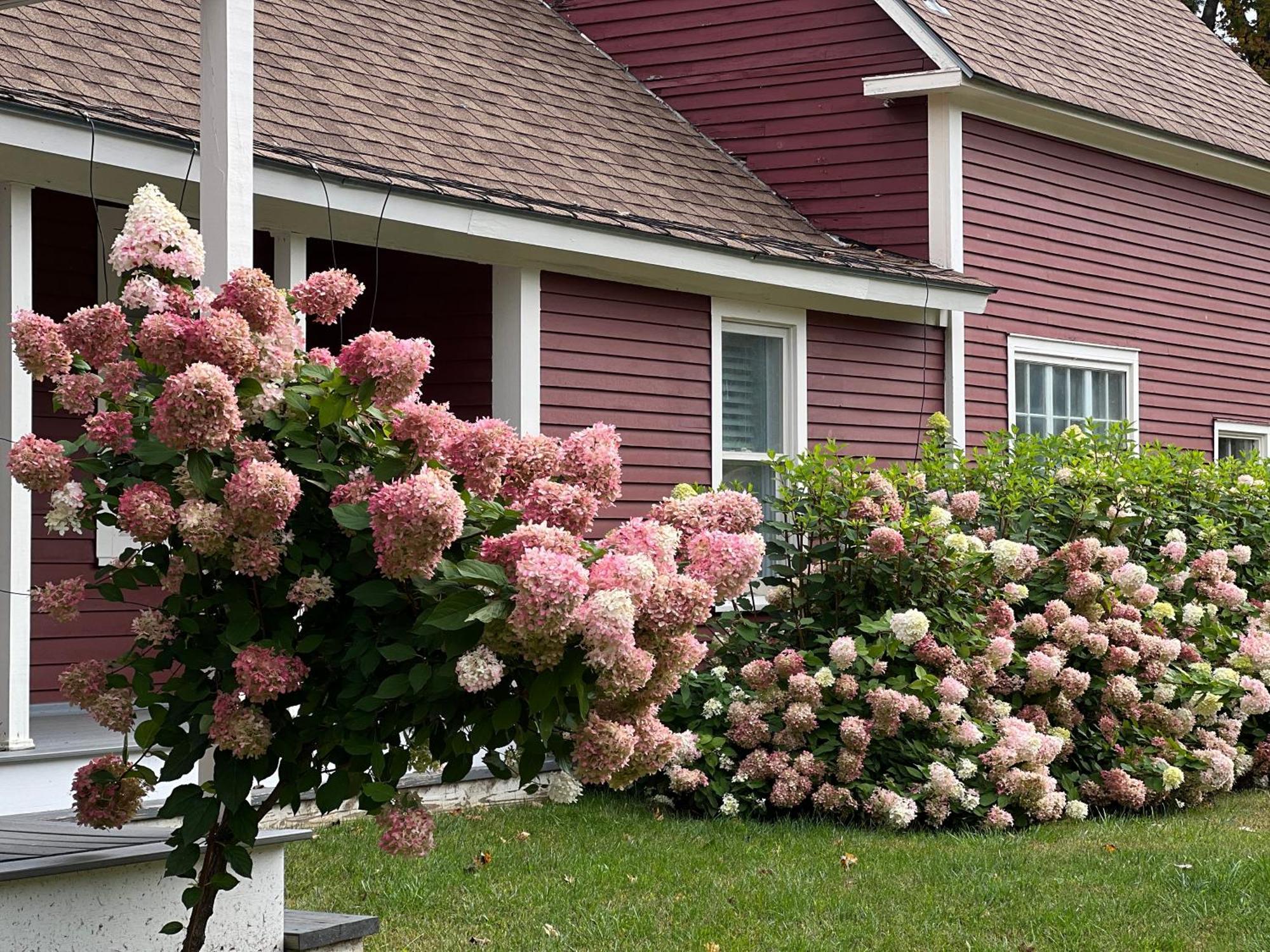 The Nutmeg Vermont Wilmington Extérieur photo